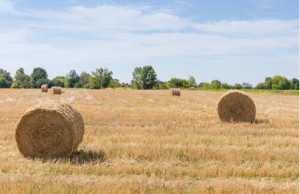 baling twine