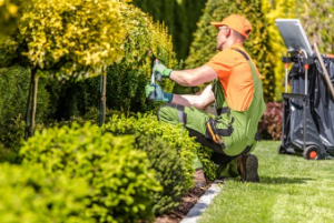 Guaranteed Garden Services garden maintenance 	