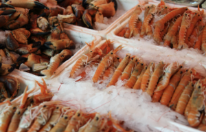 frozen seafood products