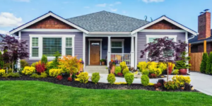 modern display homes
