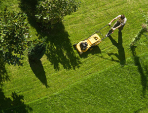 local lawn mowing company